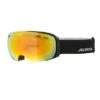 Alpina Granby Q-Lite Goggles/skibriller / Mat Sort