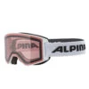 Alpina Narkoja Goggles/skibrille - White