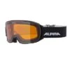 Alpina NAKISKA / Mat Sort Goggles/skibriller