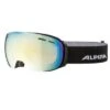 Alpina GRANBY QVMM Skibriller/Goggles - Black Matt