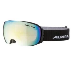 Alpina GRANBY QVMM Skibriller/Goggles - Black Matt